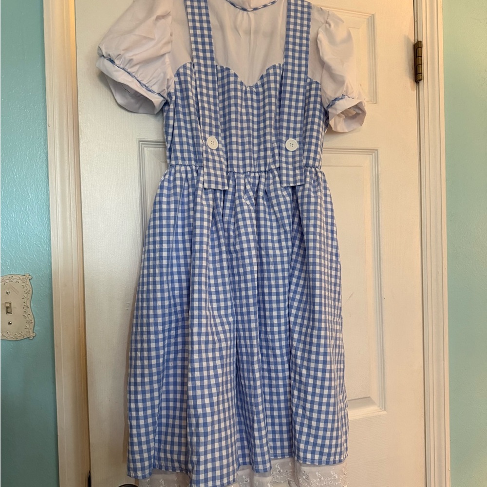 Blue and White Gingham Dress